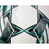 М’яч футбольний SELECT Numero 10 (FIFA Quality Pro) v23