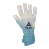 Рукавички воротарські SELECT 88 Pro Grip Aqua v23