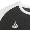 Футболка SELECT Pisa X player shirt s/s Black- White