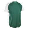 Футболка SELECT Pisa X player shirt s/s Green- White