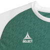 Футболка SELECT Pisa X player shirt s/s Green- White
