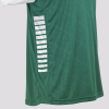 Футболка SELECT Pisa X player shirt s/s Green- White