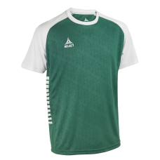 Футболка SELECT Pisa X player shirt s/s Green- White