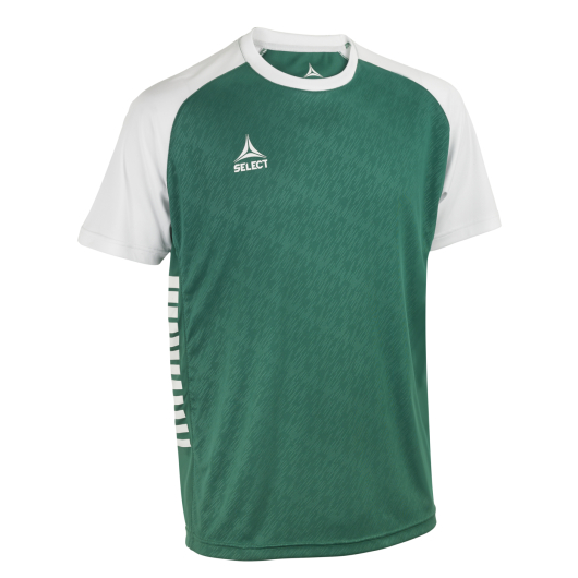 Футболка SELECT Pisa X player shirt s/s Green- White