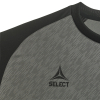 Футболка SELECT Pisa X player shirt s/s Gray- Black