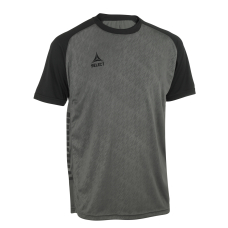 Футболка SELECT Pisa X player shirt s/s Gray- Black