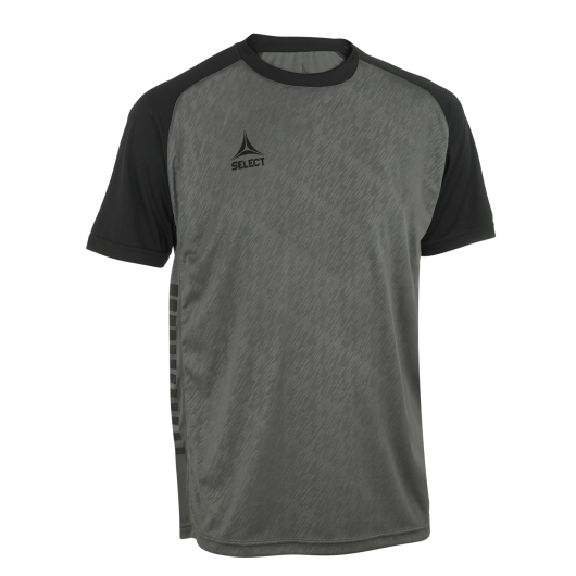 Футболка SELECT Pisa X player shirt s/s Gray- Black