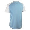 Футболка SELECT Pisa X player shirt s/s Light Blue- White