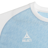 Футболка SELECT Pisa X player shirt s/s Light Blue- White