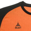 Футболка SELECT Pisa X player shirt s/s Orange- Black
