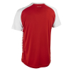 Футболка SELECT Pisa X player shirt s/s Red- White