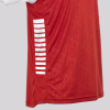 Футболка SELECT Pisa X player shirt s/s Red- White