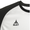 Футболка SELECT Pisa X player shirt s/s White- Black