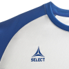 Футболка SELECT Pisa X player shirt s/s White- Blue
