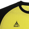 Футболка SELECT Pisa X player shirt s/s Yellow- Black