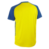 Футболка SELECT Pisa X player shirt s/s Yellow- Blue